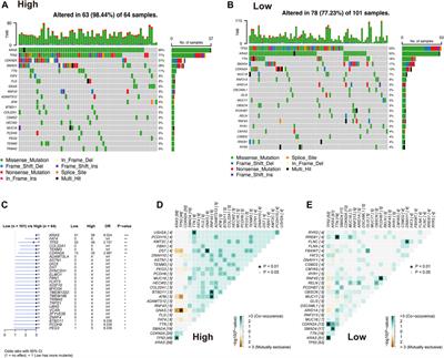 An amino acid metabolism-based seventeen-gene signature correlates with the clinical outcome and immune features in pancreatic cancer